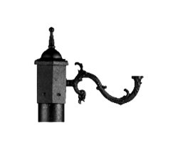 عکس تنه وسط تک شاخه چراغ رو به بالای شفق مدل پیچک 453