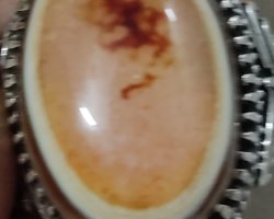 انگشتر شاهی کلکسیونی