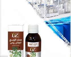 عکس عصاره آنجدان رومی خوراکی