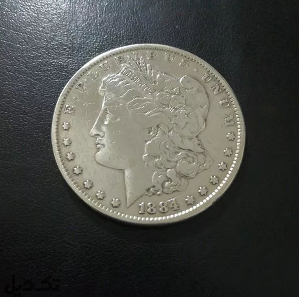 سکه مورگان نقره آمریکا