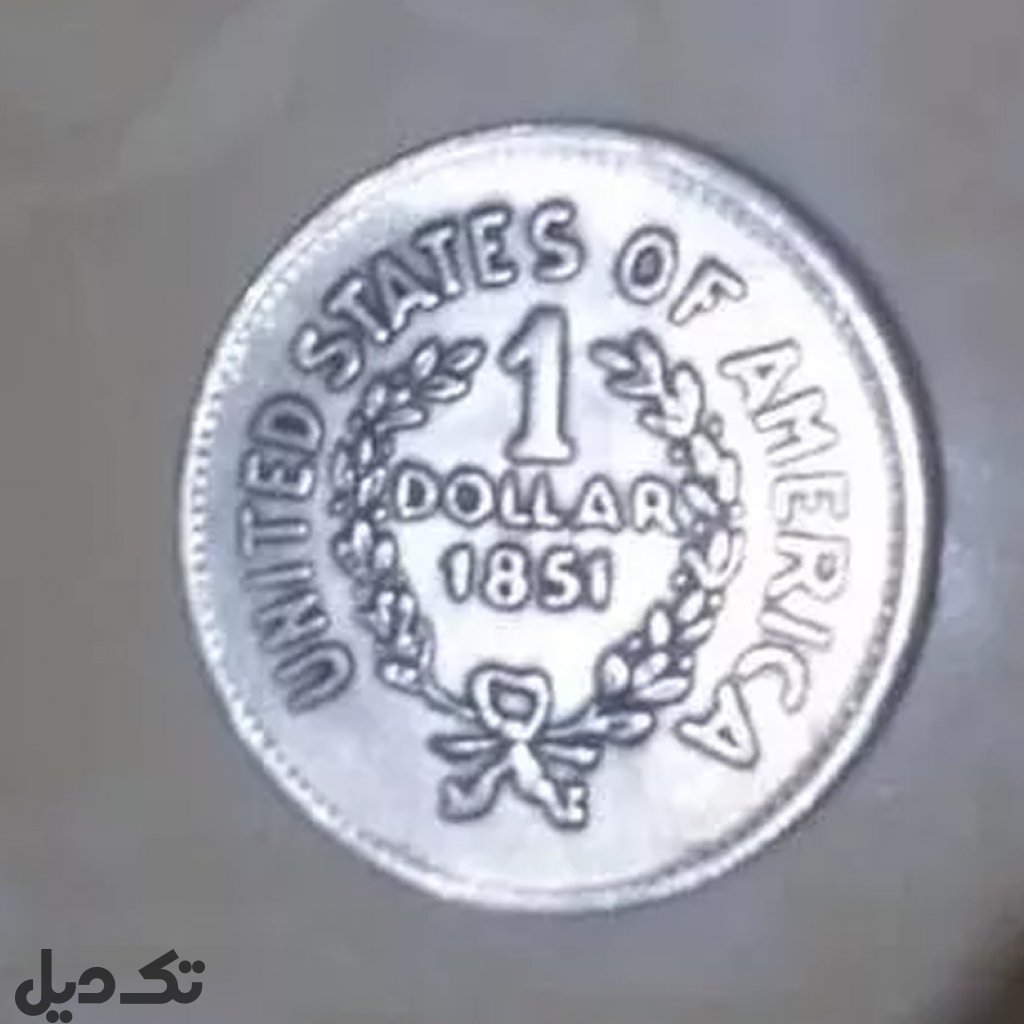 یک دلار سرخپوستی