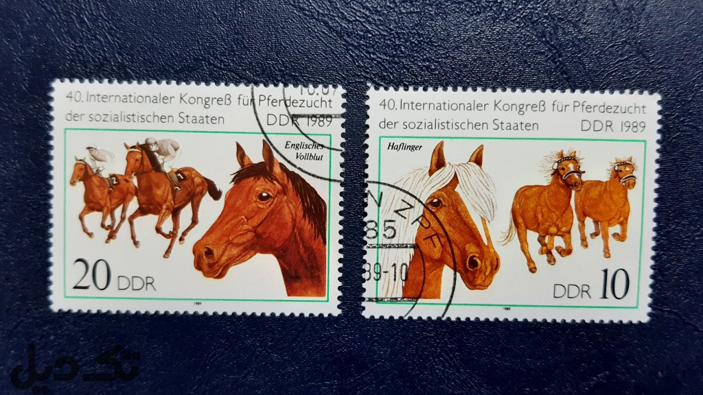 سری تمبرهای DDR اسب دوانی - آلمان 1989