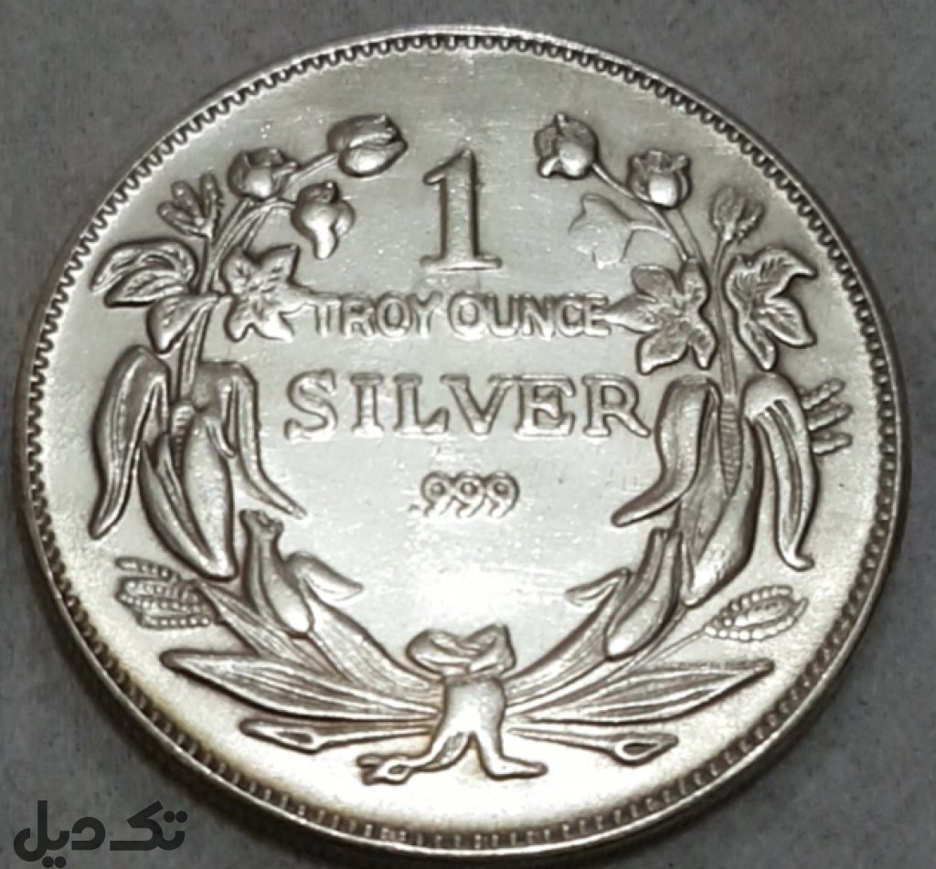 سکه خارجی سایز بزرگ زیبا