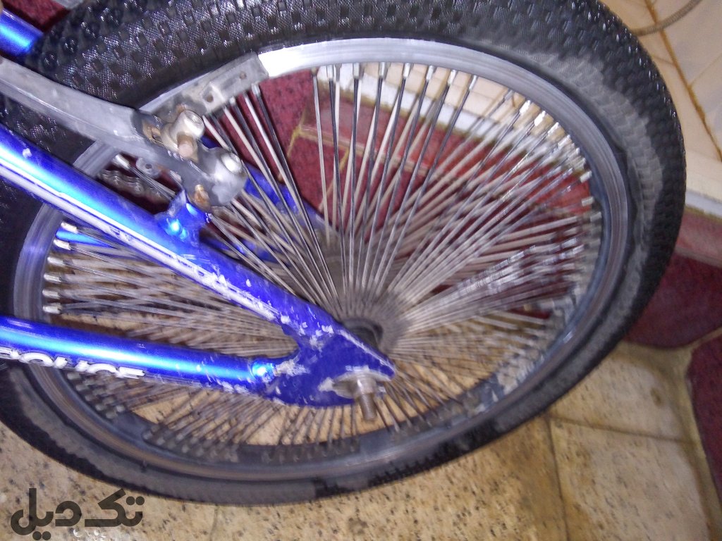 دوچرخه پلیس 20