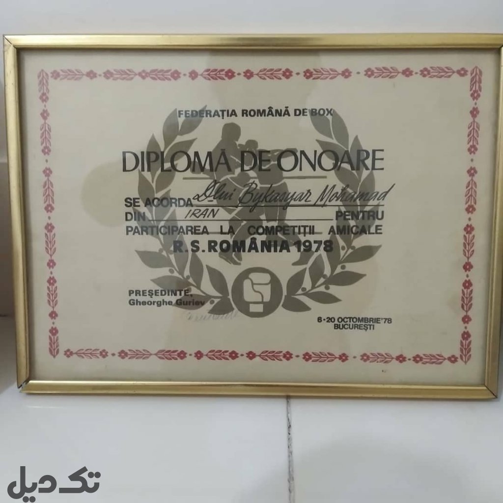 مدال قهرمانی