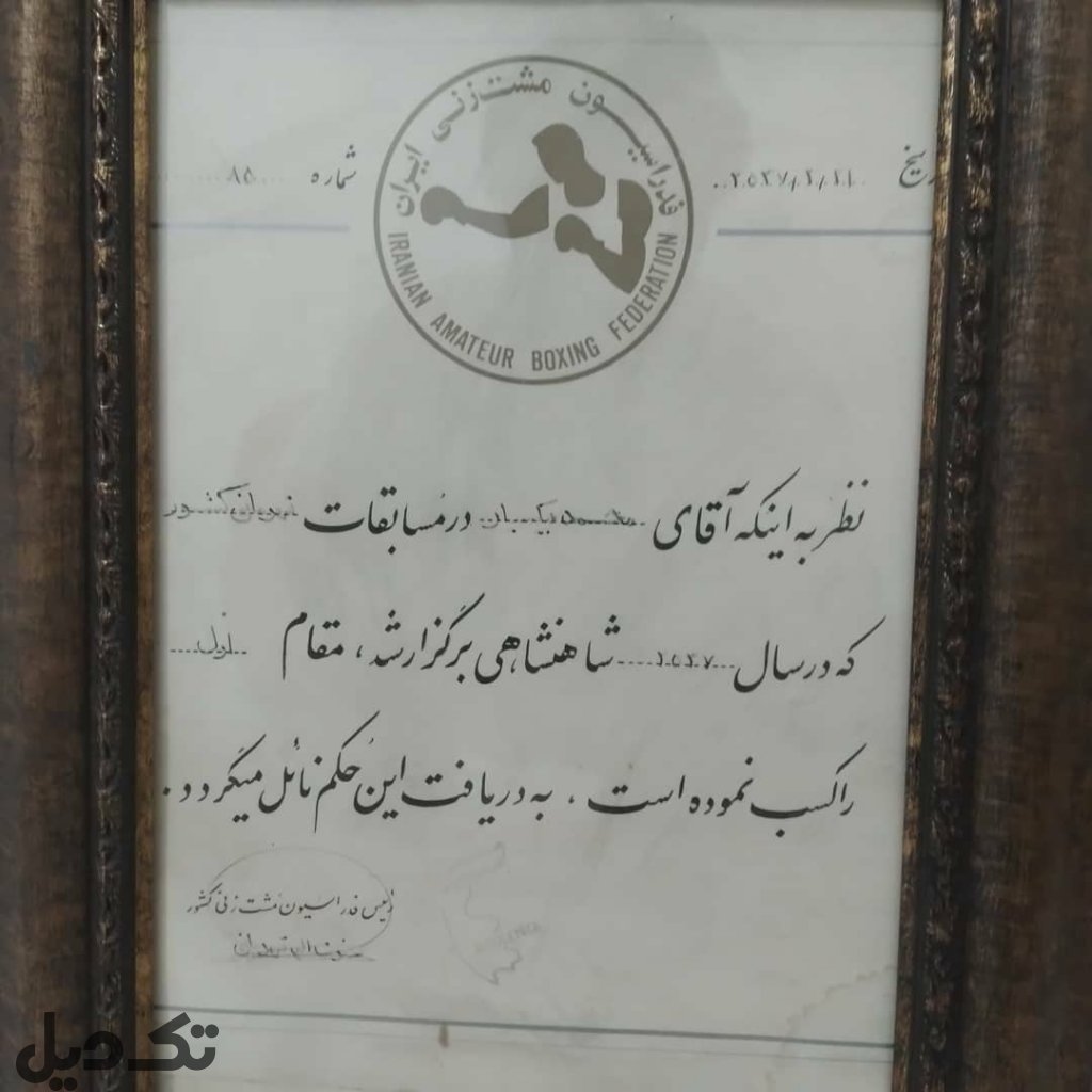 مدال قهرمانی
