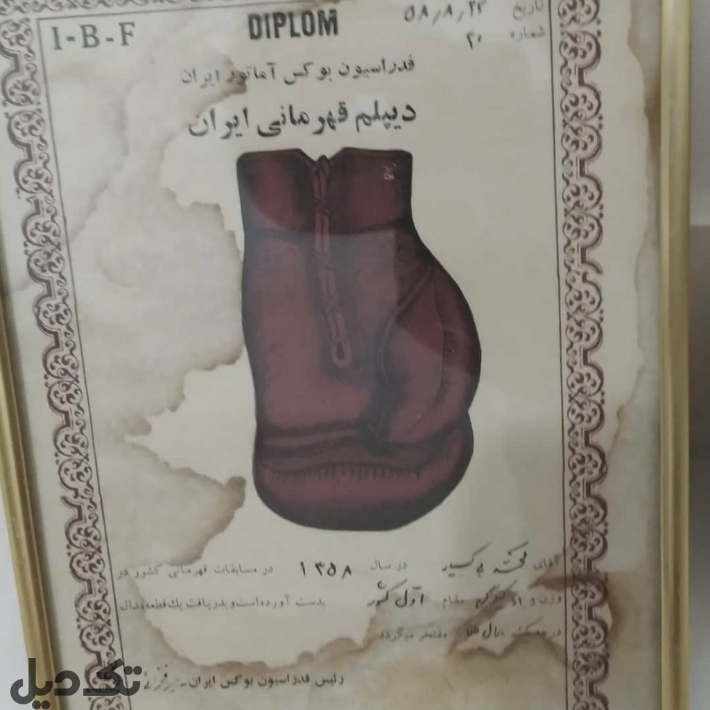 مدال قهرمانی