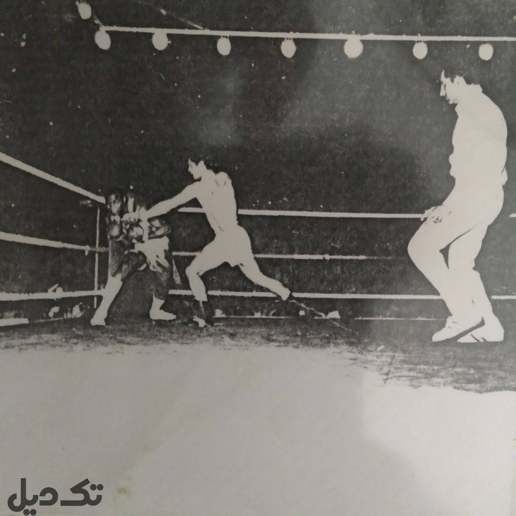مدال قهرمانی