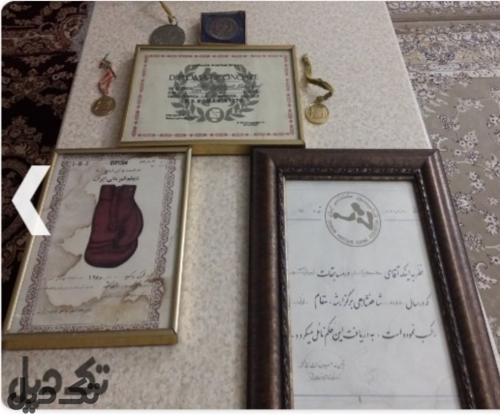 مدال قهرمانی بوکس