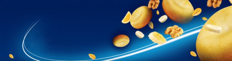 گروه بازرگانی شهبازی