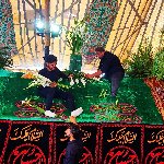 علی رضا جعفریان مقدم