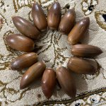 بلوط کهنه