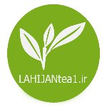 عکس نویسنده